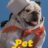 Pet Stars : 1.Sezon 3.Bölüm izle