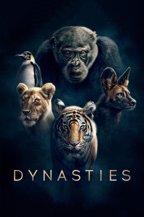 Dynasties : 1.Sezon 4.Bölüm