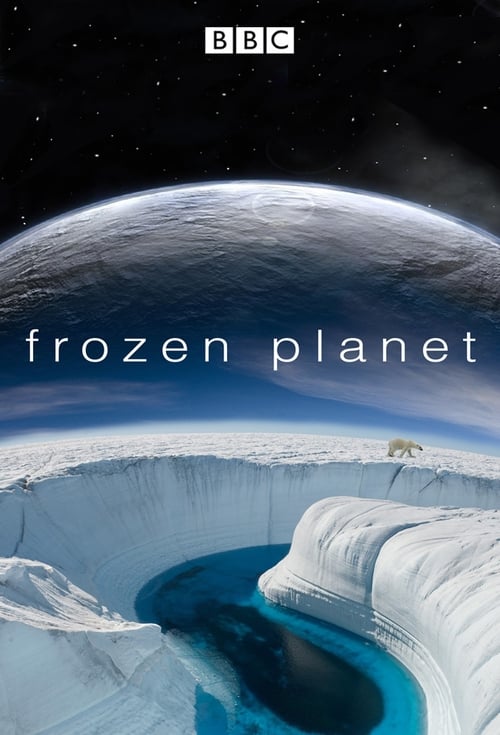 Frozen Planet : 1.Sezon 2.Bölüm