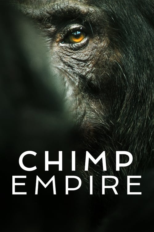 Chimp Empire : 1.Sezon 1.Bölüm