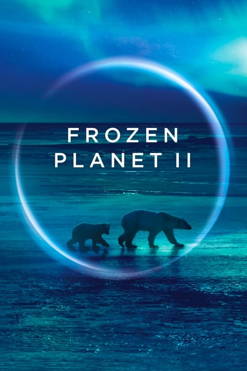 Frozen Planet II : 1.Sezon 6.Bölüm