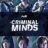 Criminal Minds : 1.Sezon 19.Bölüm izle