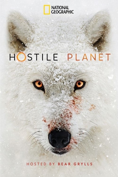 Hostile Planet : 1.Sezon 2.Bölüm