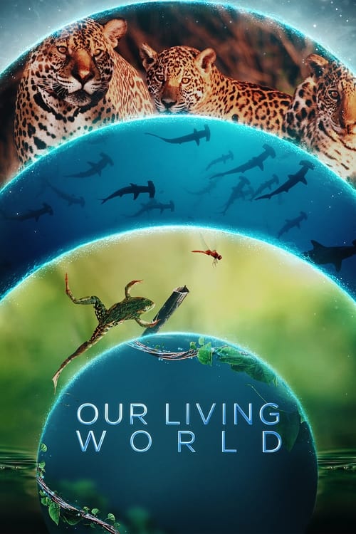 Our Living World : 1.Sezon 4.Bölüm