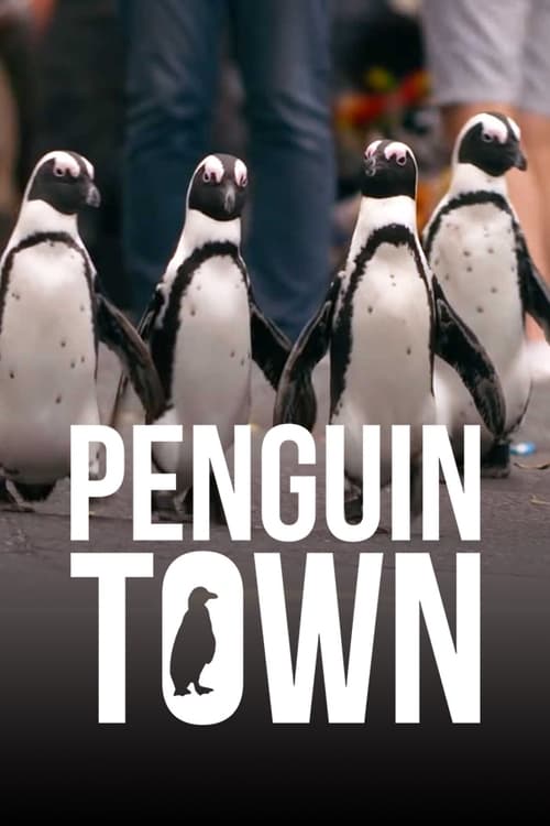 Penguin Town : 1.Sezon 3.Bölüm