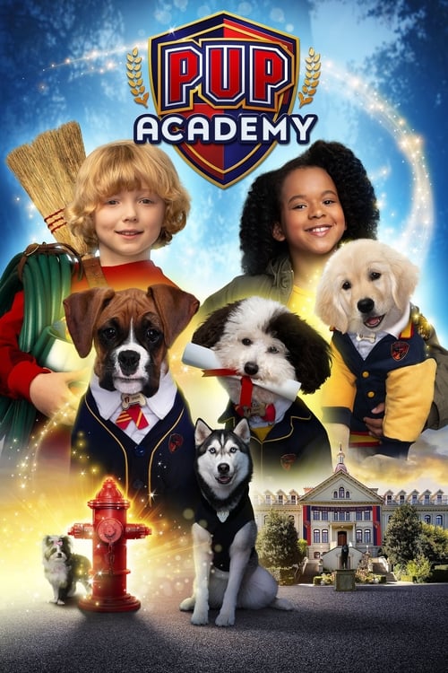 Pup Academy : 1.Sezon 4.Bölüm