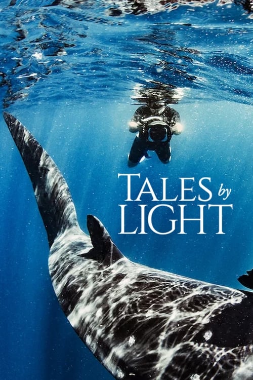 Tales by Light : 1.Sezon 2.Bölüm