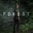 The Forest : 1.Sezon 5.Bölüm izle