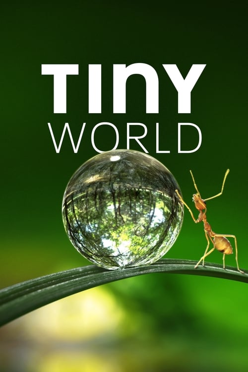 Tiny World : 1.Sezon 6.Bölüm