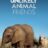 Unlikely Animal Friends : 1.Sezon 4.Bölüm izle