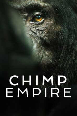 Chimp Empire