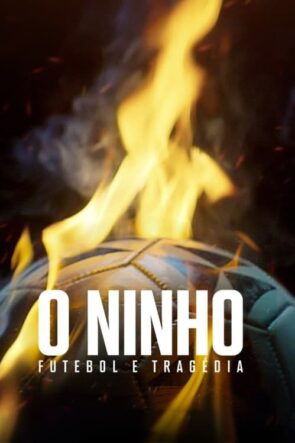 From Dreams to Tragedy The Fire that Shook Brazilian Football