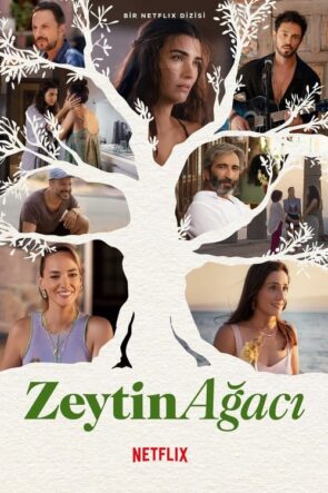 Zeytin Ağacı